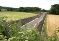 Sunday morning view south at Arniston on 6 July, with the trackbed starting to veer south east prior to crossing the A7 on Gore Glen bridge [see image 47898]. (The houses on the far left stand on the east side of the A7.)<br><br>[John Furnevel 06/07/2014]