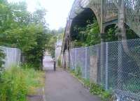 Phoenix Lane level crossing, west of Dunfermline Upper station, in 2014. The crossing was last worked by Mr and Mrs Nairn (he 2x8 hour shifts and she 1x8 hour shift per day) the stone cottage they lived in stands just off picture. The crossing was taken out of use in the 1970s. View north down Phoenix Lane over what was double track, gate posts still in-situ.<br><br>[Grant Robertson 05/07/2014]