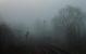 Early morning mist, the <I>Dawn Chorus</I> and, just after this picture was taken, the tinkle of signal wires as the Pitlochry Home signal was raised for a northbound train. Very atmospheric and well worth the early rise to experience it. <br><br>[Mark Bartlett 05/04/2014]