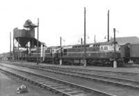 D5321 and classmate on shed at Wick in September 1961.<br><br>[David Stewart 08/09/1961]