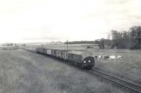 NBL Type 2 D6150 photographed near Udny on 15 August 1960 with a fish and parcels train on its way from Fraserburgh to Aberdeen.  <br><br>[G H Robin collection by courtesy of the Mitchell Library, Glasgow 15/08/1960]