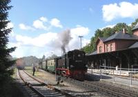 Ruegensche Baederbahn loco 99-4011-5 at the head of narrow-gauge stock at Putbus on 21st June.<br><br>[David Spaven 21/06/2014]