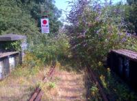 In the circumstances, the stop board seems to be superfluous. Looking South over the canal bridge by the former triangular junction on the link from Bridge Street [see image 46439] to Northampton Castle station on 18 July. The buddleia, brambles, and nettles will have to go for this to become a footpath and cycleway. Oh yes... and the track.<br><br>[Ken Strachan 18/07/2014]