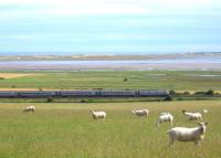 Grab shot of the 10.00 Edinburgh-Kings Cross from St Cuthbert's Way, passing Fenham Hill Footpath Crossing 10 miles south of Berwick on 29th July. Walkers wishing to cross the ECML here have the old-world pleasure of using a railway telephone to contact the signaller at Tweedmouth box to request permission. The photographer was asked how many were in the party and <I>'How long will it take you to cross?'</I> before being given the go-ahead.<br><br>[David Spaven 29/07/2014]