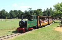 Scene at Cotswold Wildlife Park on 30 July, with their 0-4-0 steam outline diesel powered engine in action.<br><br>[Peter Todd 30/07/2014]