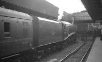 A4 60019 <I>Bittern</I> stands at the buffer stops at Glasgow's Buchanan Street station on 3 September 1966 following its return from Aberdeen with the BR <I>A4 Farewell Tour</I>.<br><br>[K A Gray 03/09/1966]