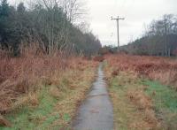 Remains of Balnacoul Halt on the Fochabers Branch looking west towards Orbliston Junction in early 1988. View along the platform edge with the filled in trackbed on the left.<br><br>[Ewan Crawford //1988]