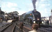 The Glasgow Buchanan Street - Aberdeen <I>'A4 Farewell Tour'</I> of 3 September 1966 stands at Forfar behind 60019 <I>Bittern</I>. Aberdeen trains would soon be rerouted via Dundee following closure of the Strathmore route east of Forfar in 1967. <br><br>[John Robin 03/09/1966]