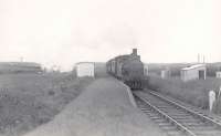 F4 2-4-2T 67164 calls at Philorth Bridge Halt with a St Combs - Fraserburgh train in July 1951, the month before its withdrawal from Kittybrewster shed. <br><br>[G H Robin collection by courtesy of the Mitchell Library, Glasgow /07/1951]