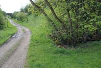 Flex cutting and bridge, two miles south of Hawick, 43 years after track lifting [see image 27623]<br><br>[Ewan Crawford 05/05/2014]