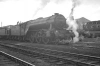 York V2 60828 stands alongside Kings Cross A4 60025 <I>Falcon</I> on Gateshead shed in the spring of 1960. EE Type 4 and Deltic diesel locomotives can also be seen in the photograph.<br><br>[K A Gray 25/05/1963]