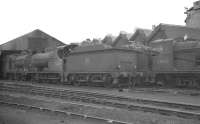 Scene on Langwith Junction shed, thought to have been taken in 1959. Locomotives on shed include home based J11 0-6-0s 64317 and 64333.<br><br>[K A Gray //1959]