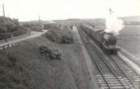 Six miles out of Peterhead, ex-GER 4-6-0 61511 passes westbound through Longside on 4 July 1951 with a fish train heading for Aberdeen.<br><br>[G H Robin collection by courtesy of the Mitchell Library, Glasgow 04/07/1951]