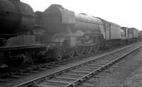 Some 5 months after withdrawal from St Margaret's shed, Gresley A3 60099 <I>Call Boy</I> stands in the yard at Bathgate awaiting its fate. The locomotive was cut up by Messrs Arnott Young, Carmyle, 3 months later. [See image 37003]<br><br>[K A Gray 28/03/1964]