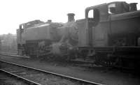 A pair of locally based 0-6-0 pannier tanks standing in a misty shed yard at Southall in August 1961. Nearest the camera is Collett 9791, with Hawksworth 1501 beyond.<br><br>[K A Gray 20/08/1961]