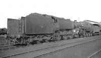 One of the distinctive Bulleid Q1 0-6-0s, no 33020, stands at the end of a line of locomotives in the shed yard at Eastleigh on 25 September 1963. This example survived until January 1966 when it was finally withdrawn by BR from Guildford shed.<br><br>[K A Gray 25/09/1963]