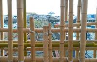 The 1856 station at Folkestone Harbour, officially closed on 31 May 2014. Photograph taken on 1st October 2014 through the bamboo sculpture built on the approach to the station.<br><br>[Brian Smith 01/10/2014]