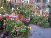 Floral display at Bridlington station in October 2014 [see image 20954].<br><br>[John Yellowlees 03/10/2014]