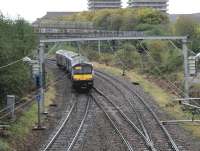 The 11:10 service to Cumbernauld passes the SPAD signal [see image 33386] on 6 October approaching the single lead Bellgrove Junction. It is about to pass under the Reidvale Street pedestrian overbridge with its wire netting cover.<br><br>[Colin McDonald 06/10/2014]