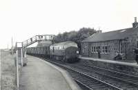 A Fraserburgh bound goods at Newmachar on 15 August 1960 behind D6139. The short-lived NBL Type 2 had been delivered new to Kittybrewster shed 6 months earlier but would be withdrawn by the end of 1967.   <br><br>[G H Robin collection by courtesy of the Mitchell Library, Glasgow 15/08/1960]