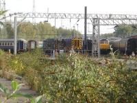 View from platform 12 at Crewe towards the Riviera Trains stabling sidings on 30 September, showing D3871 and 08507 in the centre, with newly painted 47847 to the right. The 47 was collected by GBRf on 13 November for movement to Barrow Hill depot for attention to enable it to return to main line running with GBRf. <br><br>[David Pesterfield 30/09/2014]