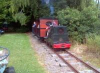 <I>Are we out of the woods yet?</I> The resident Ruston diesel [see image 48022] taking things literally on 28th June. The beam engines here are well worth viewing, especially when they are in steam.<br><br>[Ken Strachan 28/06/2014]