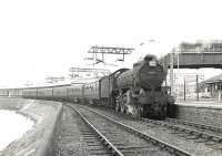 B1 61029 <I>Chamois</I> alongside the Clyde at Craigendoran Pier on 17 June 1961 with a military special for Barry Camp. [See image 50603]<br><br>[G H Robin collection by courtesy of the Mitchell Library, Glasgow 17/06/1961]