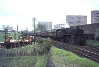 A new dual carriageway bridge awaits positioning at Pollokshaws West on 6 May 1964 as Polmadie's Standard Class 5 4-6-0 no 73060 hurries past with the 5.30pm Glasgow - Carlisle service. <br><br>[John Robin 06/05/1964]