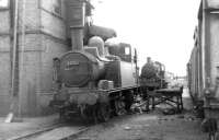 Locomotives around the coaling stage at Oswestry shed (89A) in August 1960. Nearest the camera is ex-GWR Collett 0-4-2T no 1432.<br><br>[David Stewart /08/1960]