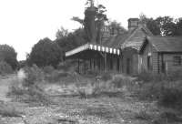 The 1863 station at Shillingstone, North Dorset, in October 1984, with the area between the platforms overgrown and the track lifted. Closed in 1966, Shillingstone is the last surviving example of a station built by the Dorset Central Railway. [See image 49310]. [Ref query 6776]<br><br>[John McIntyre /10/1984]