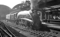 A Haymarket based locomotive for most of its life, A4 Pacific no 60024 <I>'Kingfisher'</I>, shrouded in steam, looks to be preparing to head for home with a train at Newcastle Central. The photograph is thought to have been taken in the late 1950s or early 1960s.<br><br>[K A Gray //]