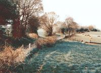 The country railway in all its glory. The trackbed from Rowden Mill station towards Leominster in 2007.<br><br>[Ken Strachan //2007]