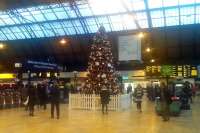 Christmas 2014 at Glasgow Queen Street station.<br><br>[Beth Crawford 09/12/2014]