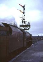 Stanier Pacific 46244 <I>King George VI</I> stands at Carstairs on 31 July 1964 with the London Sleeper. <br><br>[John Robin 31/07/1964]
