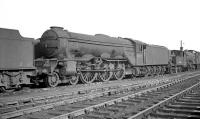 Locomotive lineup on Heaton shed, thought to have been photographed in 1962. In the centre is A3 Pacific 60072 <I>Sunstar</I>, withdrawn from 52B in October that year.<br><br>[K A Gray //1962]