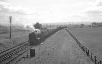 An A2-hauled freight has just crossed the Coast Road heading north away from Newcastle in 1962. The train is about to pass the fogman's hut near the site of the former Little Benton sidings, just under a mile short of Benton Quarry Junction. The eastern end of the WD&HO Wills cigarette factory (now luxury flats) can be seen in the right background.<br><br>[K A Gray //1962]