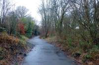 Remains at Alloway station - view from the east on 31 December 2014. The cycle-path runs along the single line until this deviation to the left. The overgrown hump is the remains of the island platform. On the other side is the trackbed of the up side loop, now impassable, overgrown and waterlogged.<br><br>[Colin Miller 31/12/2014]