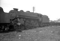 Black 5 with extras. One of two examples built at Horwich Works in 1951 complete with double chimney, modified Caprotti valve gear, SKF roller bearings on all axles and raised running plates without splashers. The distinctive looking 44687 was photographed on the stored locomotive line at Llandudno Junction in April 1963. At the head of the queue stood twin 44686 [see image 39592].<br><br>[K A Gray 01/04/1963]