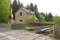 The closed station of Naworth, Cumbria, on the Newcastle - Carlisle line. Photographed in May 2006, some 54 years after closure.<br><br>[John Furnevel 06/05/2006]