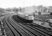 A Newcastle - Bristol train passing Dringhouses yard, York in 1980 behind 'Peak' 45072.<br><br>[John Furnevel 22/07/1980]