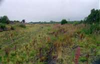 Looking north at Ferniegair. The Motherwell lines were to the left and Hamilton ones to the right.<br><br>[Ewan Crawford //1997]