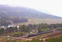 A class 37 stops at Tyndrum Lower with a train for Oban in August 1984. In the centre distance Tyndrum Upper is visible.<br><br>[John Gray 12/08/1984]