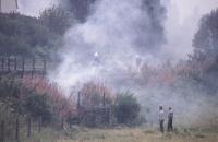 Two boys look on as the firefighters work to get the fire under control.<br><br>[John Gray //]