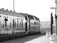 55010 <I>The Kings Own Scottish Borderer</I> on the 11.44 Dundee - Kings Cross stands at Berwick in August 1981.<br><br>[John Furnevel 10/08/1981]