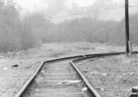 View west from the site of Oakley station towards Alloa in 1986. The large expanse ahead is wher e the sidings that ran parallel to the main line were located. Note the very sharp kick in the track wher e the points that controlled the junction for Oakley Yard have been replaced with plain track.<br><br>[Grant Robertson //1986]