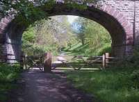 Looking towards Darlington in May 2014 under an accommodation bridge on the Two Viaducts Trial, about half a mile from Kirkby Stephen East.<br><br>[Ken Strachan 17/05/2014]