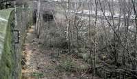 Looking along the partially cleared trackbed of the former route to Bridgeton Central on 3 February 2015. View is east, with the line dropping down from High Street station behind the camera to enter Gallowgate Tunnel. Running above the tunnel is the line between High Street and Bellgrove.<br><br>[Colin McDonald 03/02/2015]