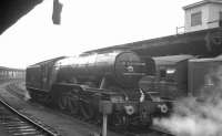 A3 60051 Blink Bonny stands at York on 2 May 1964 after earlier bringing in the RCTS <I>North Eastern Limited</I> from Newcastle. Standing alongside is another special, the Gresley Society <I>London-North Eastern Flyer</I>, on its way to Darlington behind 4472 <I>Flying Scotsman</I>. [See image 39196]<br><br>[K A Gray 02/05/1964]