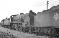 King Arthur class 4-6-0 30800 <I>Sir Meleaus de Lile</I>, withdrawn from Eastleigh in August 1961, stands on the disposal line alongside the shed that same month. <br><br>[K A Gray 13/08/1961]