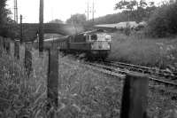 A northbound train hauled by a Type 2 locomotive photographed just south of Dunblane in June 1965. The train is about to cross the bridge over the Allan Water following which it will enter Kippenross Tunnel. [Ref query 7789] <br><br>[Colin Miller /06/1965]